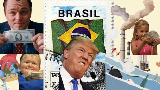 Perquè puja tant el preu del cafè?